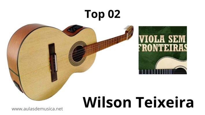 Viola Sem Fronteiras - Wilson Teixeira