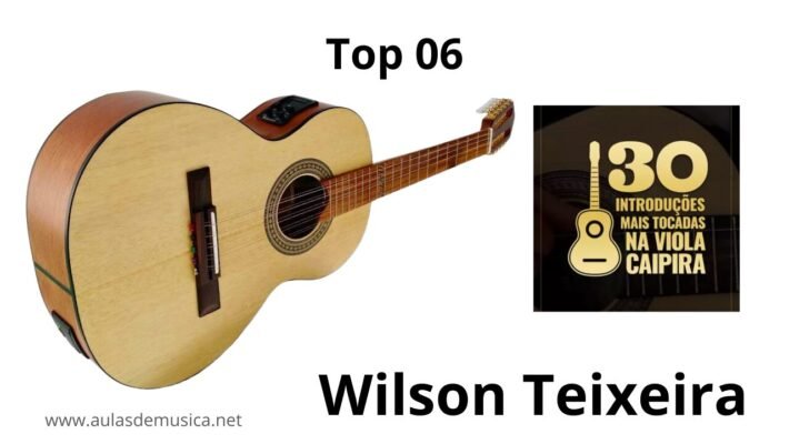 30 Introduções mais Tocadas na Viola Caipira - Wilson Teixeira